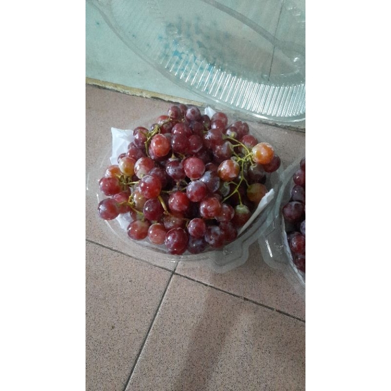 

Anggur Red Globe buah asinan murah