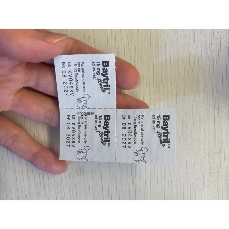 BAYTRIL 15 mg - Antibiotik Anjing Kucing (HARAP BACA DESKRIPSI SEBELUM MEMBELI)