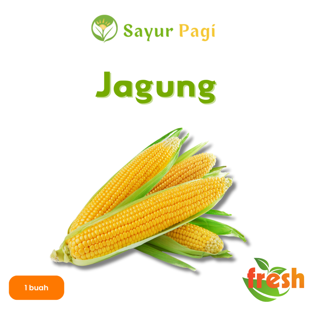 

Sayur Segar Jagung - Sayur Pagi Online