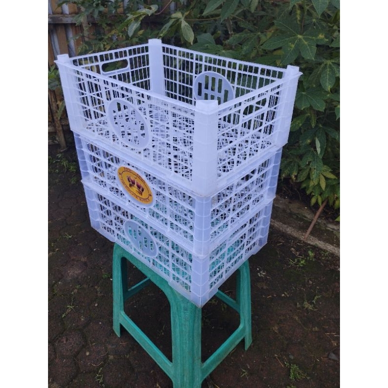 keranjang buah bekas jeruk Santang impor