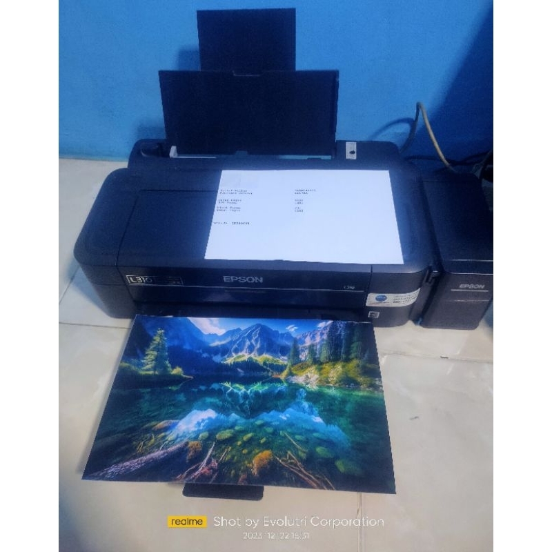 Printer Epson L310 (A4 & F4)