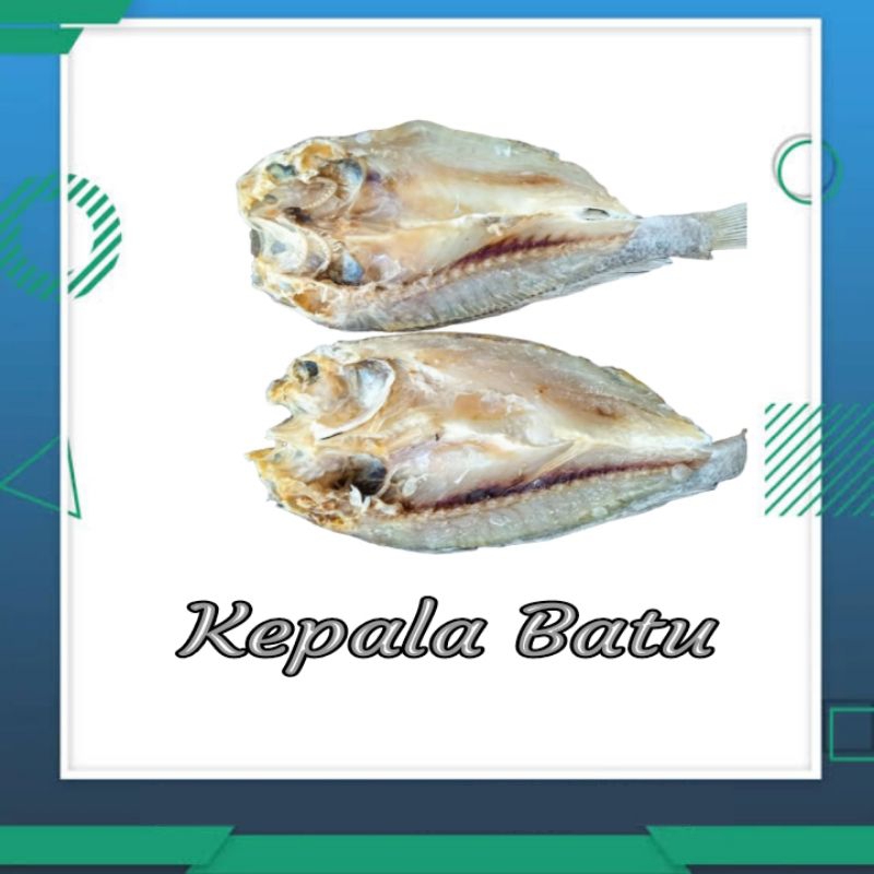 

IKAN ASIN KEPALA BATU/IKAN BATU FRESS
