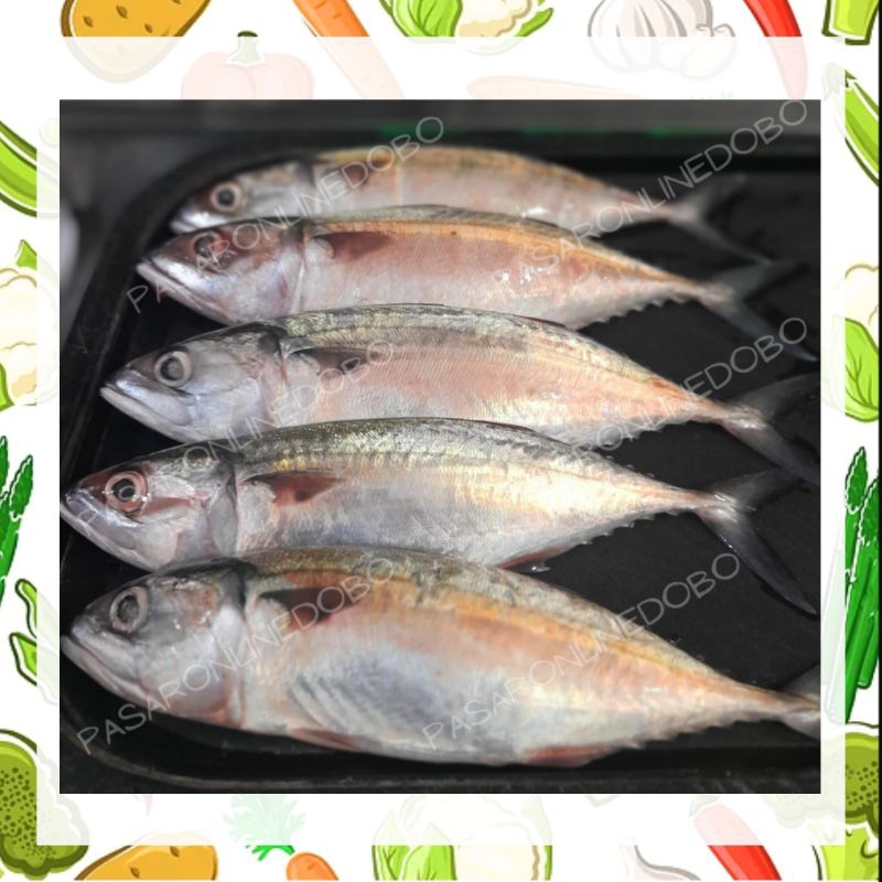 

Ikan Kembung/Banyar 10-15ekor/kg