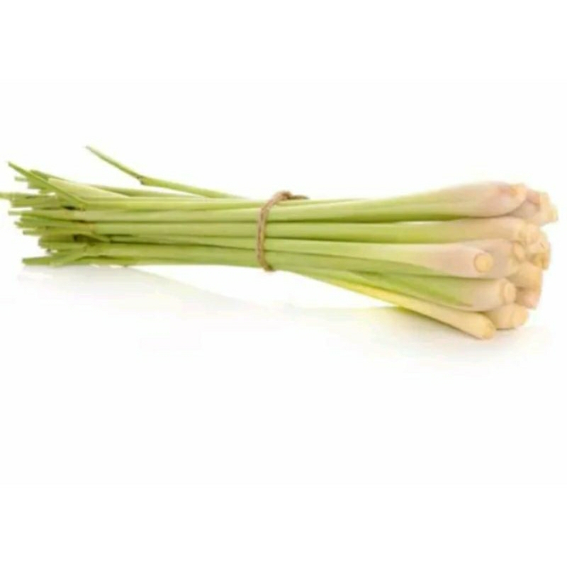 

sereh sayur segar kiloan