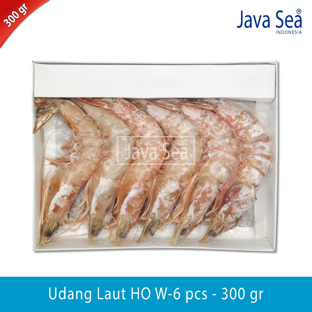 

Udang Laut Utuh Ada Kepala HO W-6 ekor pack 300gr Java Sea