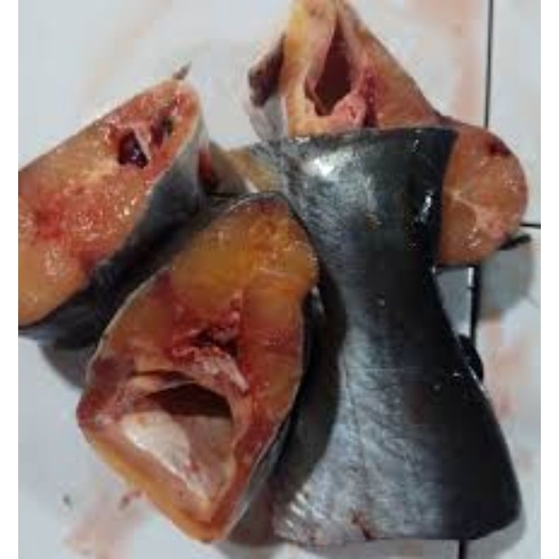 

ikan patin 1kg (sudah d bersihkan)