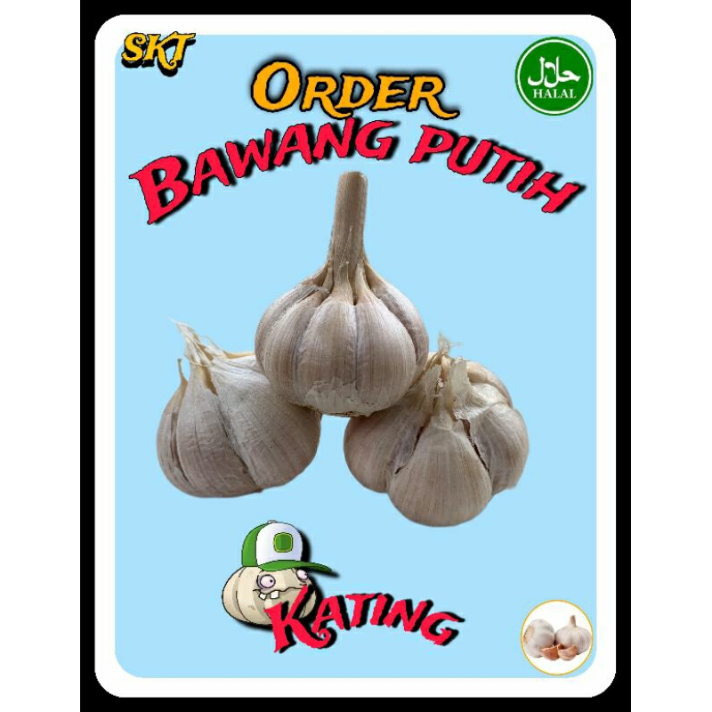 

BAWANG PUTIH KATING BERSIH DAN KUPAS