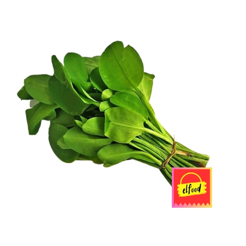 

DAUN GENJER SEGAR Per ikat ±750g /ELFOOD/Sayur/Sayuran/Sayur Online Balikpapan