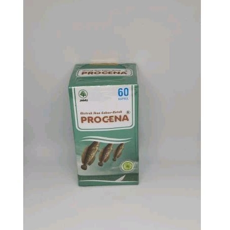 procena ekstrak ikan gabus kutuk