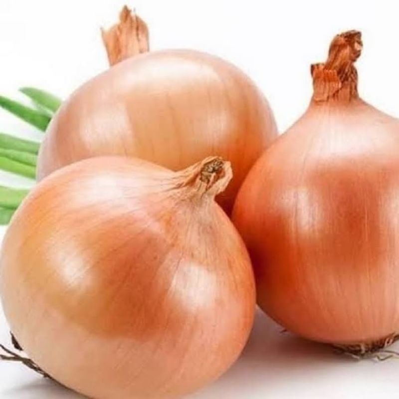 

bawang bombay 500 gr