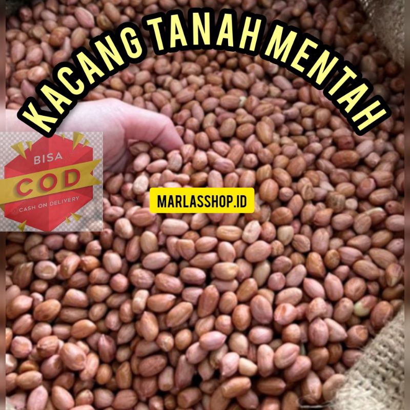 

Kacang Tanah Mentah Medan 1 Kg