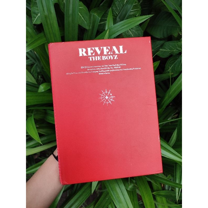 REVEAL THE BOYZ ALBUM ONLY
