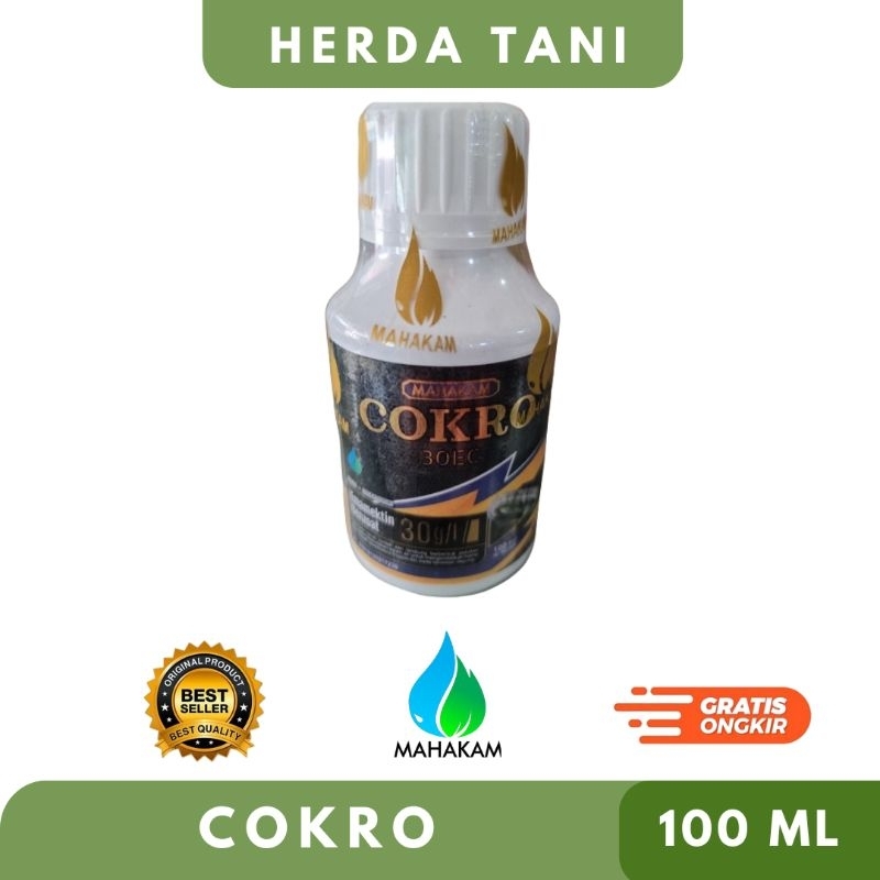 Cokro 100 ml insektisida tanaman jagung