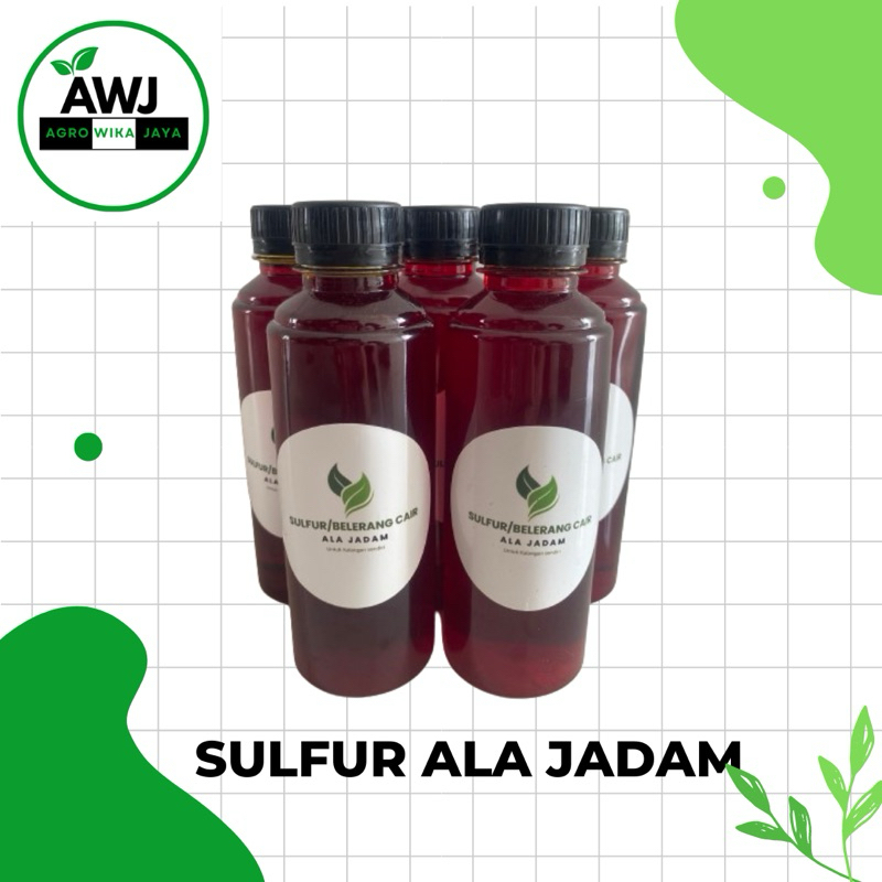 SULFUR/BELERANG CAIR ALA JADAM | FUNGISIDA ORGANIK | BELERANG MURNI | SULFUR MURNI