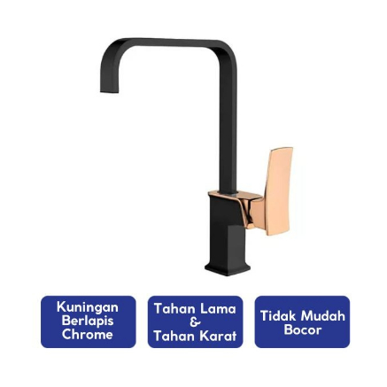 Ceramax Kran Wastafel Cuci Piring Dapur FT840022RB Hitam-Emas BATAM
