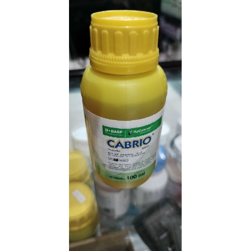 Cabrio 250 EC 100 ml