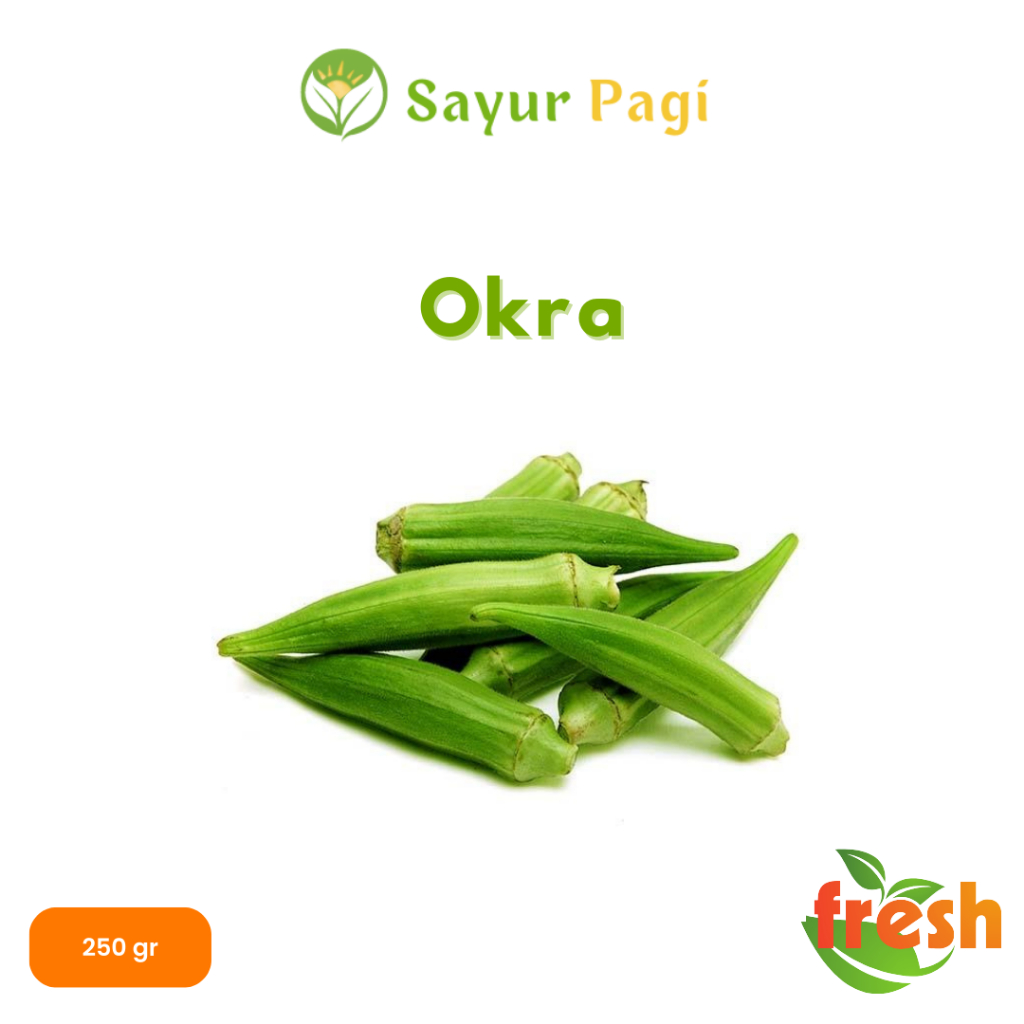 

Sayur Segar Sayur Okra - Sayur Pagi Online