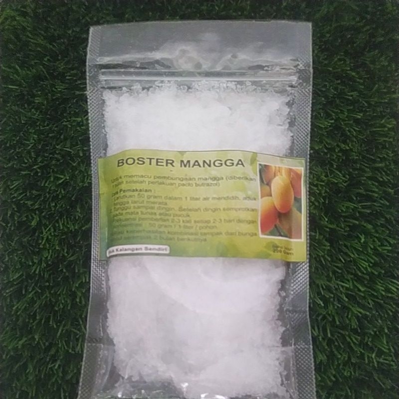 Boster Mangga