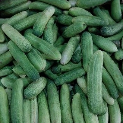 

Timun besar segar 500 gr