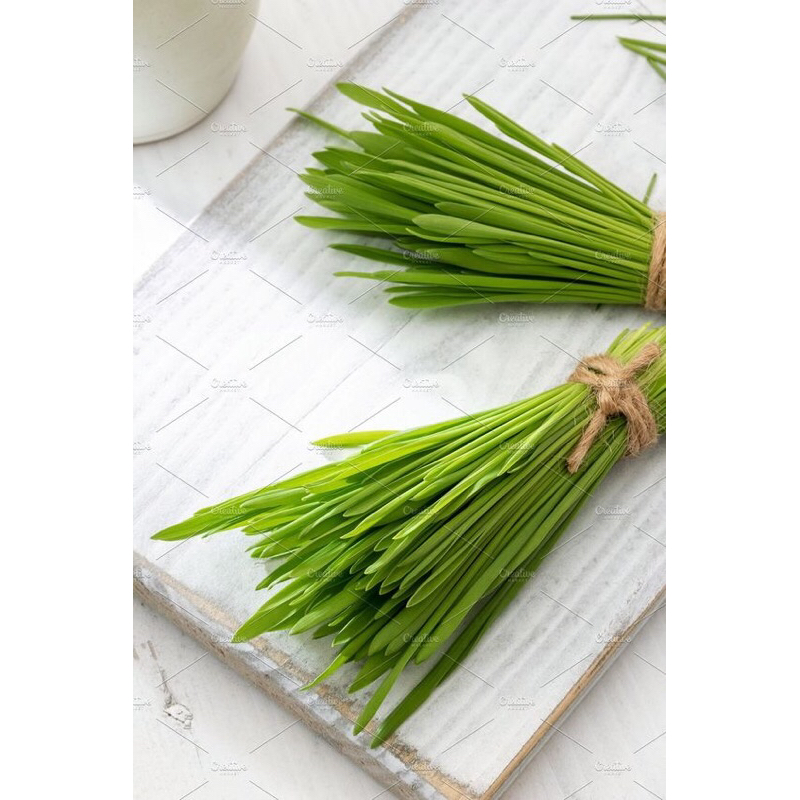 sayur kucai segar / sayu kucai fresh