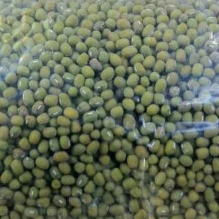 

Selalu Baru kacang ijo bubur 1 kg