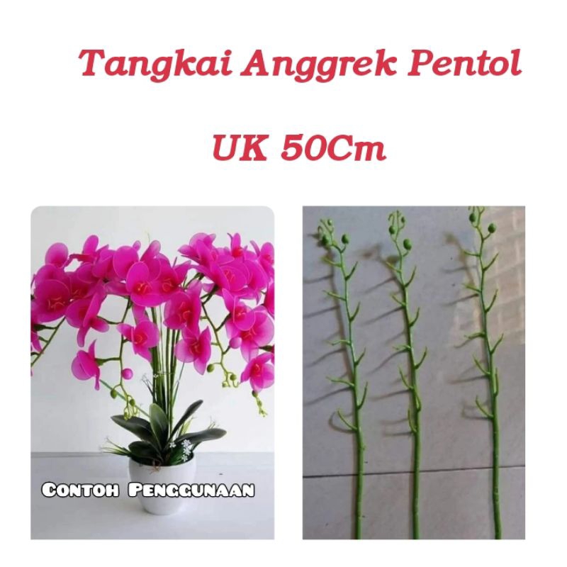 Batang Anggrek 50 Cm Tangkai Anggrek Variasi Pentol Kawat Batang Bunga Kawat Anggrek