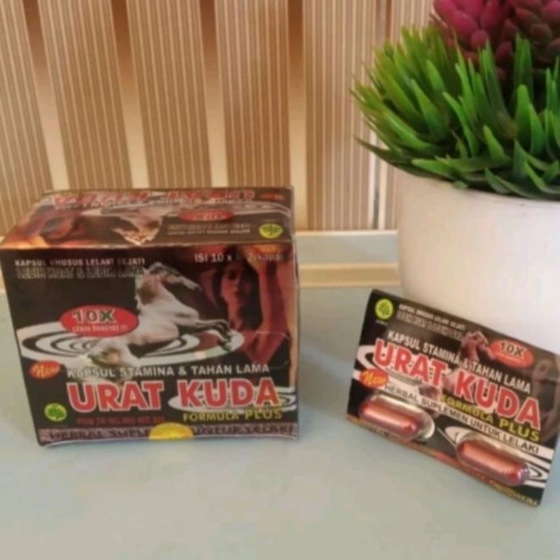 Urat Kuda Kapsul Blister 10×