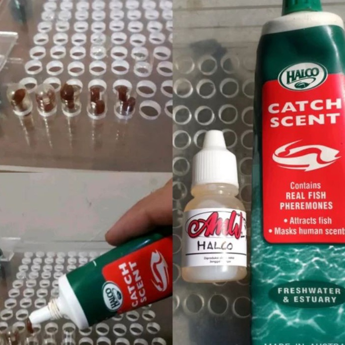 Promo 5pcs Halco Instan Air Tawar 1x Pakai Kemasan Kapsul Ori Made In Australia