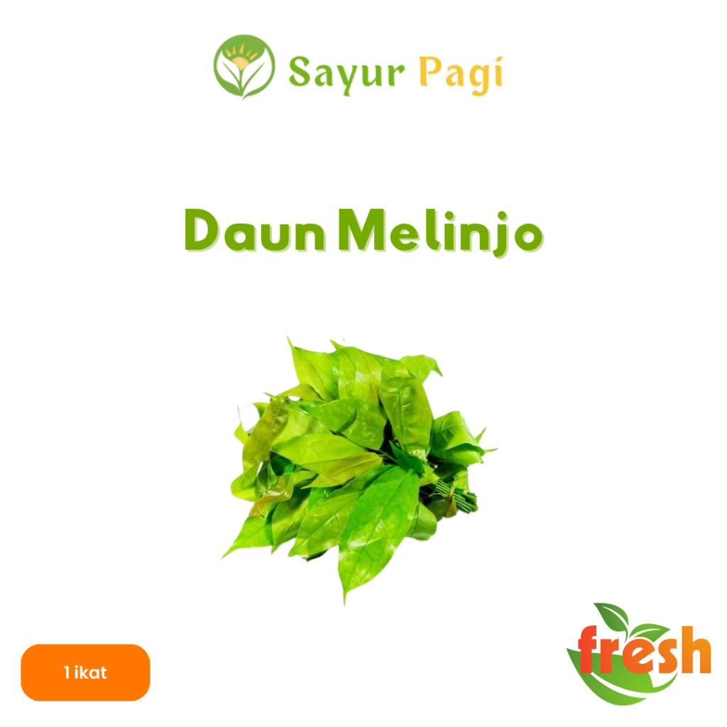 

Sayur Segar Daun Melinjo - Sayur Pagi Online