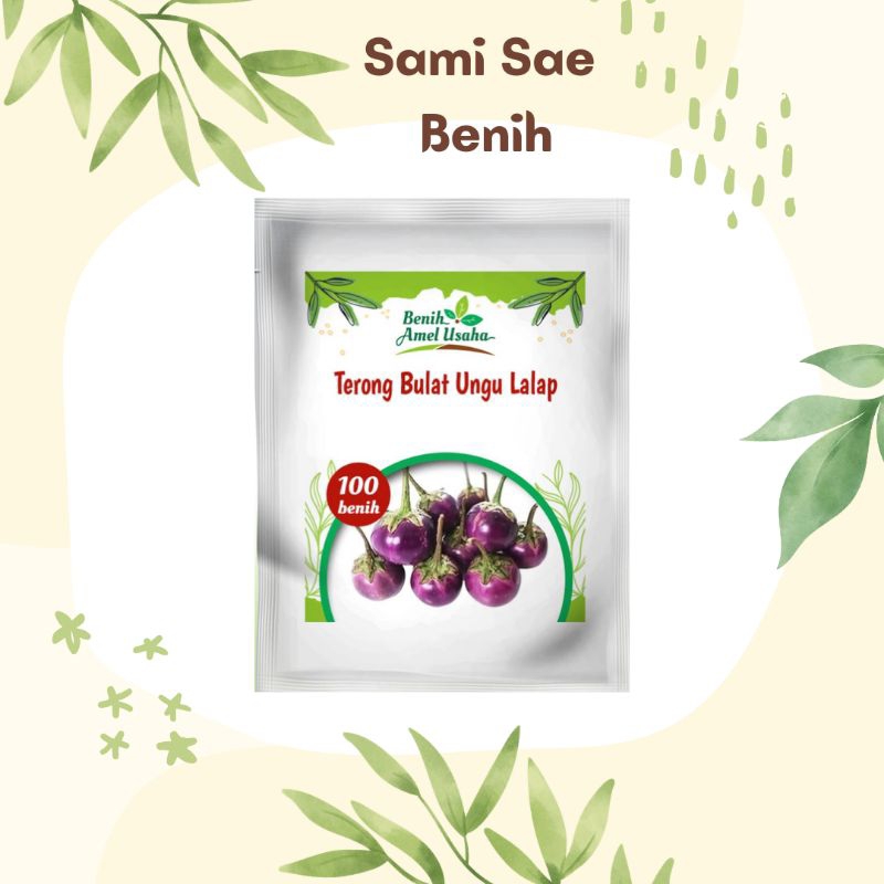 Terong bulat ungu lalap 100 benih/benih terong bulat ungu lalap cepat tumbuh/benih terong ungu lalap