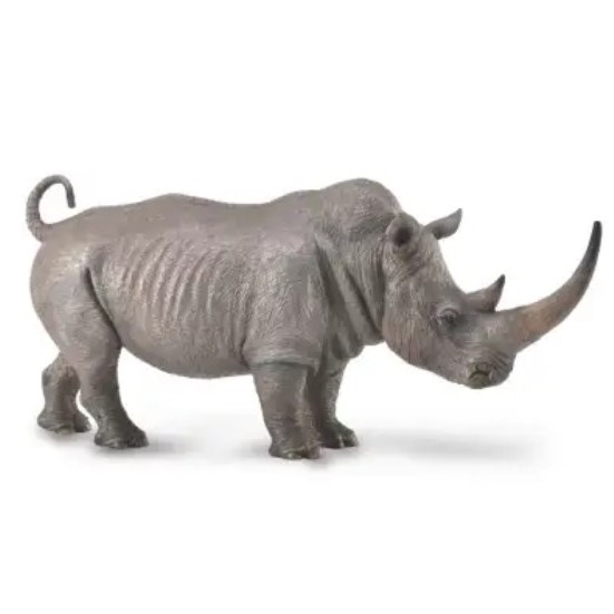 Collecta Figure White Rhinoceros 88852 Sensorik Mainan Hadiah Anak