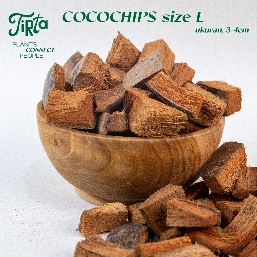 Media Tanam M (2-3 cm) - Coco Chips - Coir Cubes - Coco Husk