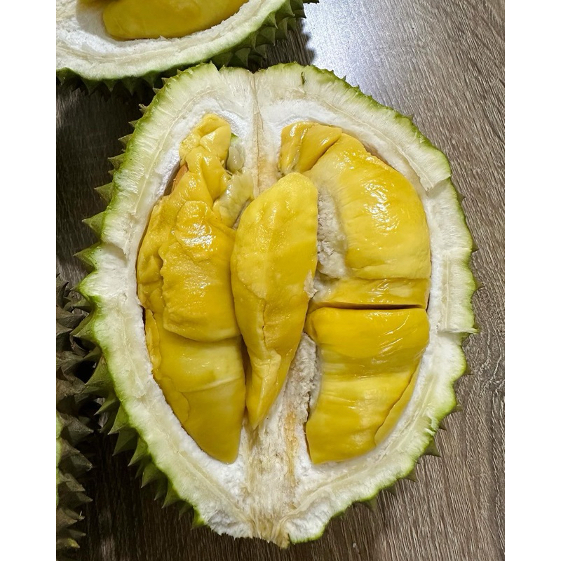

Durian montong