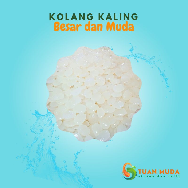 

Kolang Kaling sugar palm fruit Kwatep Buah Atep