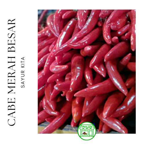 

Cabe Merah Besar 1 kg