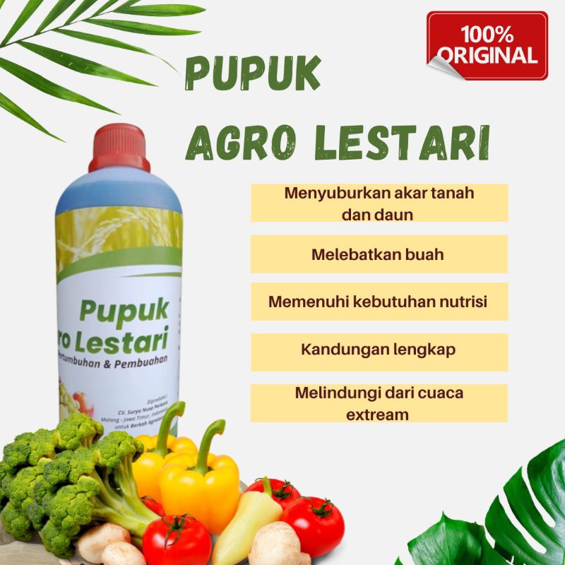 PUPUK AGRO LESTARI PEMICU PEMBUAHAN