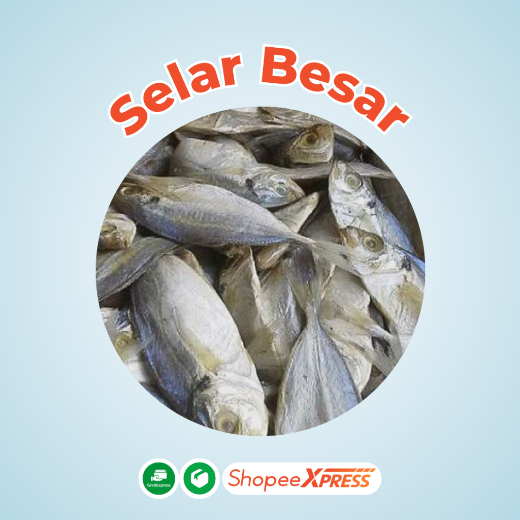 

IKAN ASIN SELAR UKURAN BESAR grade 1