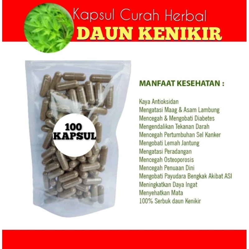 DAUN KENIKIR 100 kapsul Curah Herbal