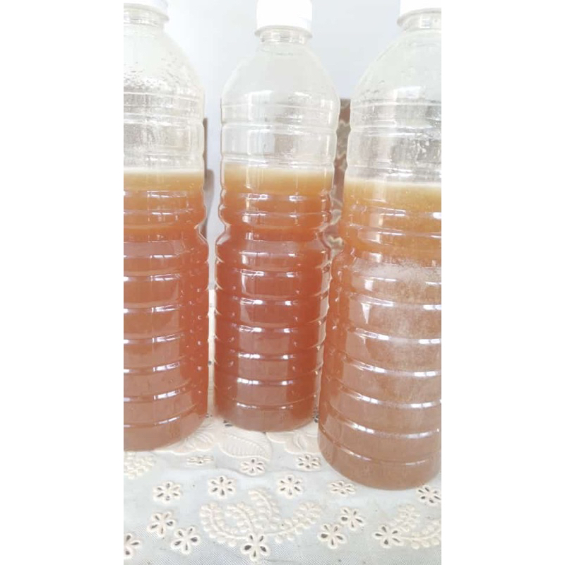 

madu hutan liar dorsata 1kg