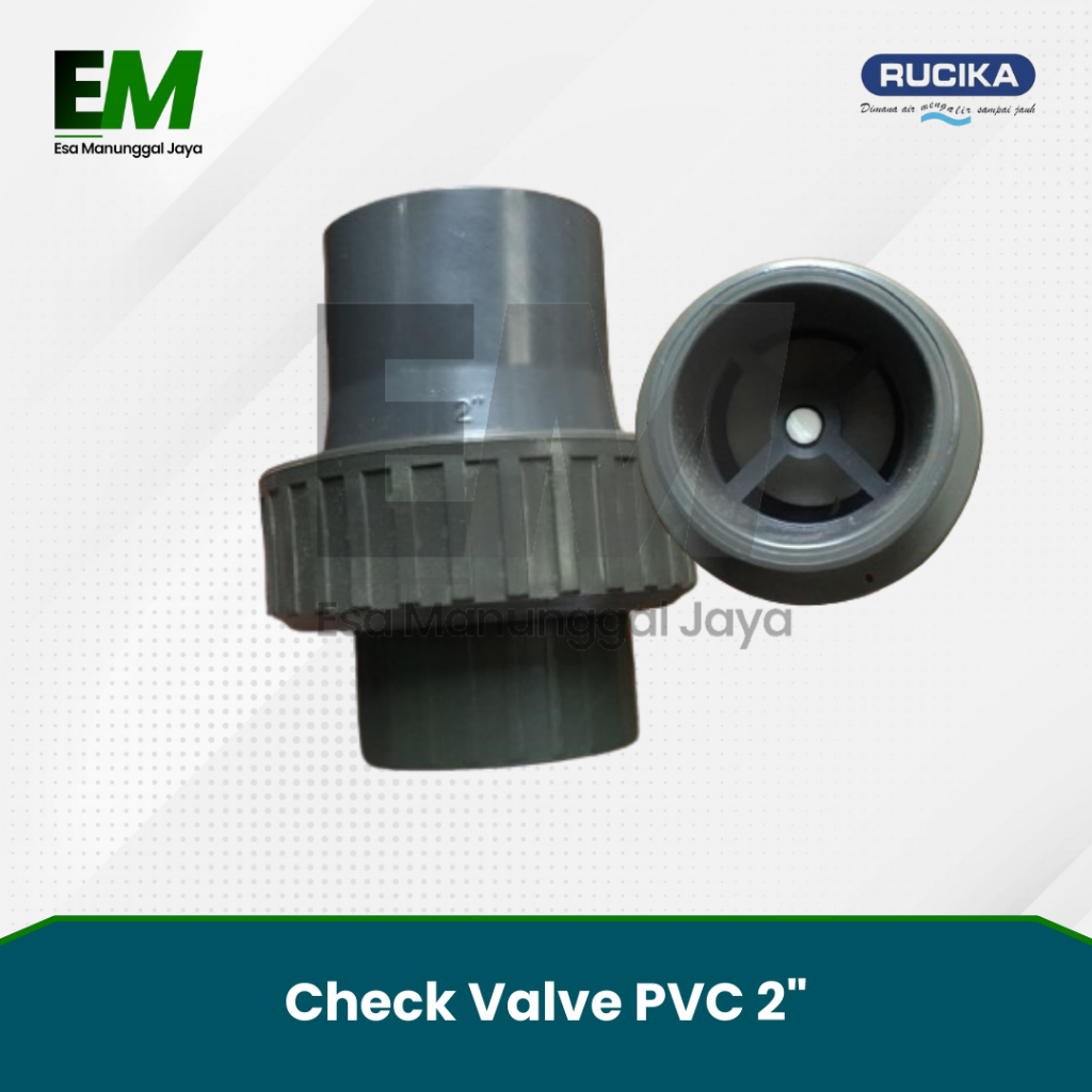 Check Valve PVC 2" / Check Valve PVC 2 Inch
