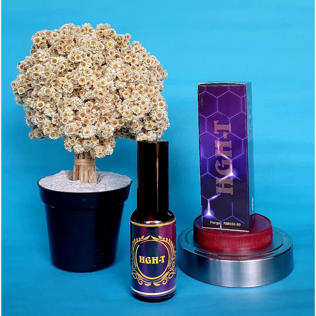 PROMO BESAR// HGH T ungu Malaysia