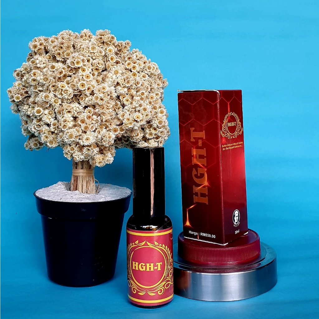 PROMO BESAR// HGH T merah // garansi