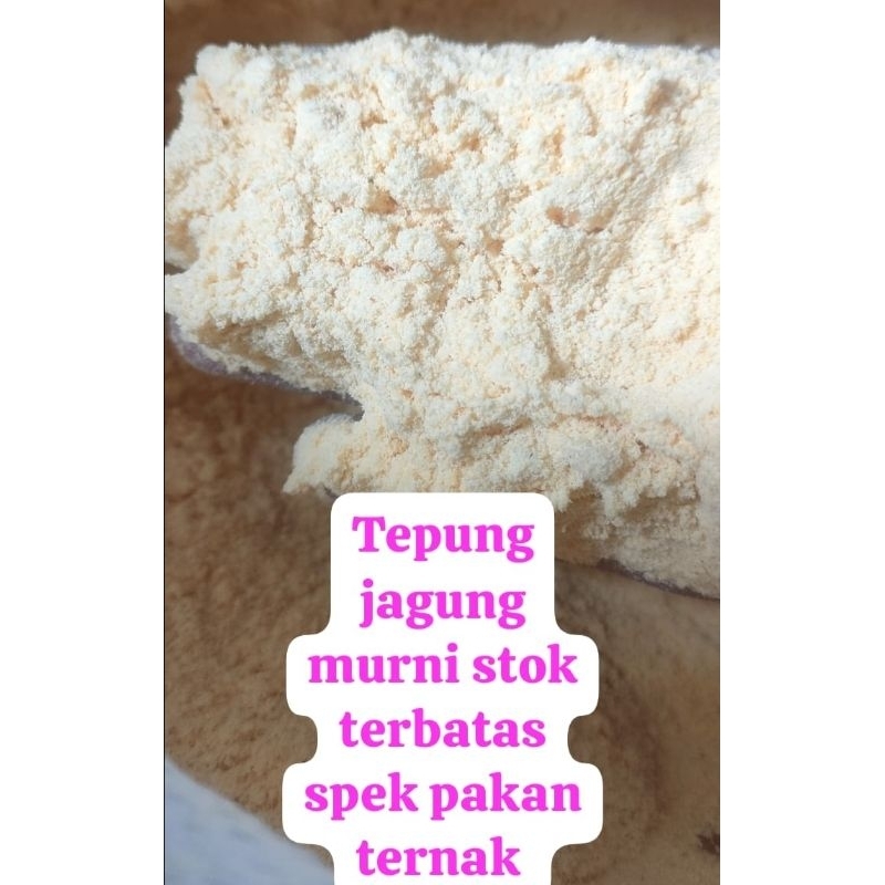 

tepung Jagung Murni