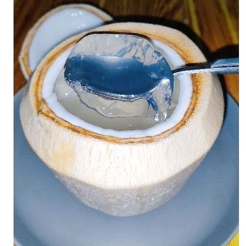 

KODE VNDBH DEGAN JELLYCOCONUT JELLYCOCONUT THAILAND