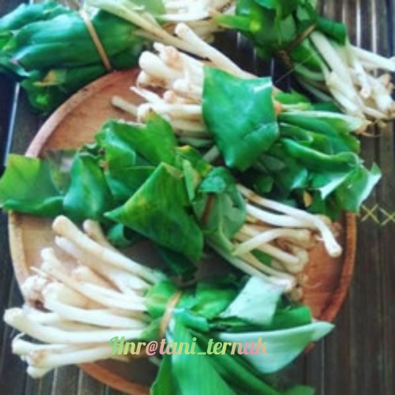 

daun kencur segar - cikur segar - lalapan - 200gr