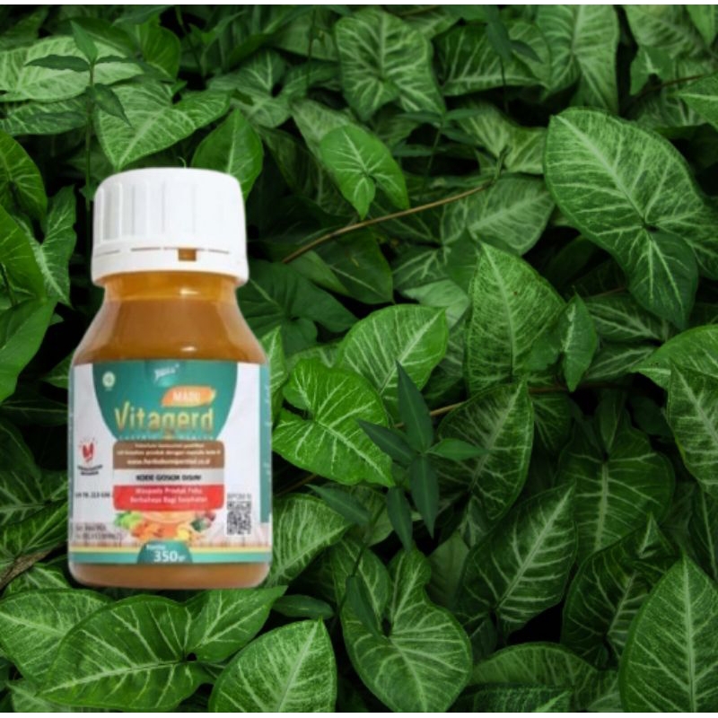 

Madu Vitagerd Original Obat Lambung Maag Herbal Vita Gerd Asam lambung Begah Mual Kembung Sesak