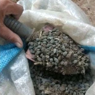 pupuk kandang tai kambing 500gr