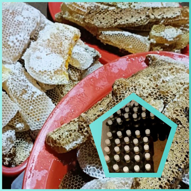 

Madu Hutan Murni