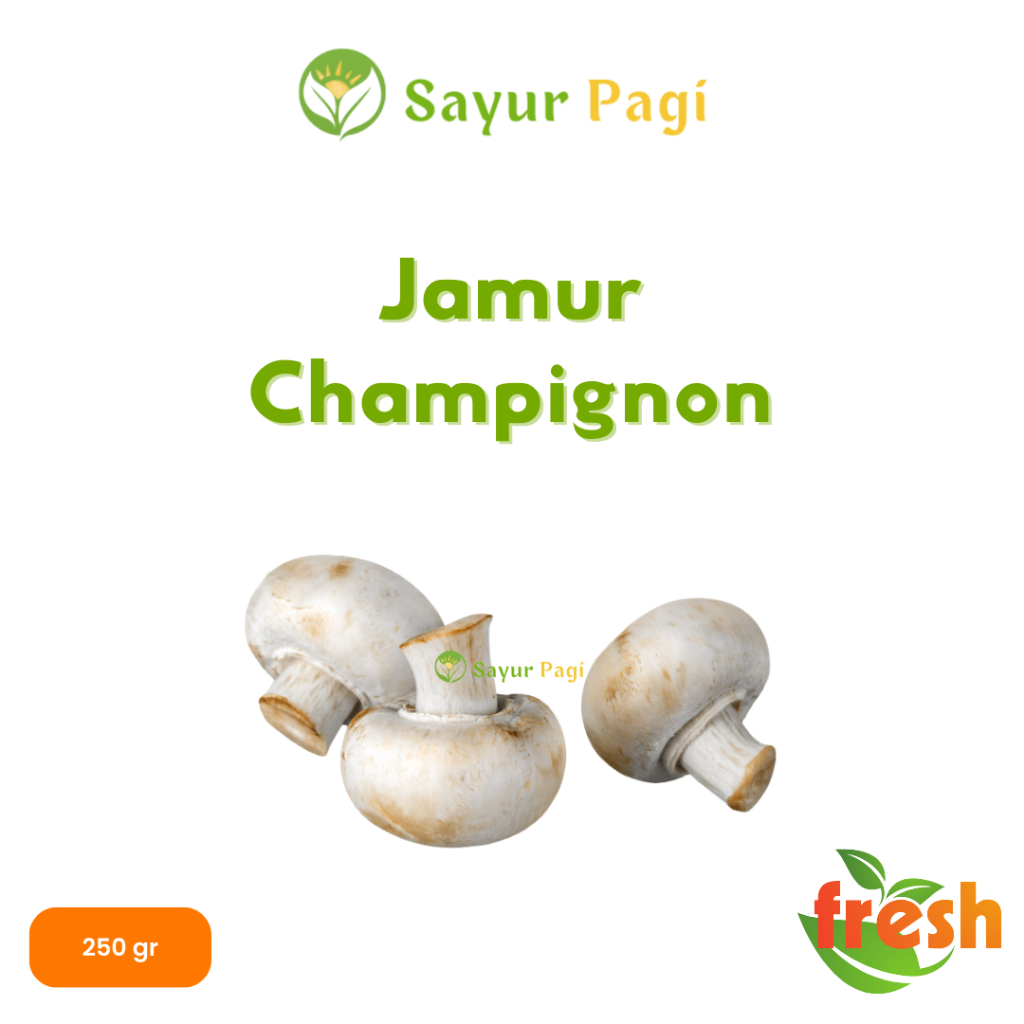 

Sayur Segar Jamur Champignon - Sayur Pagi Online