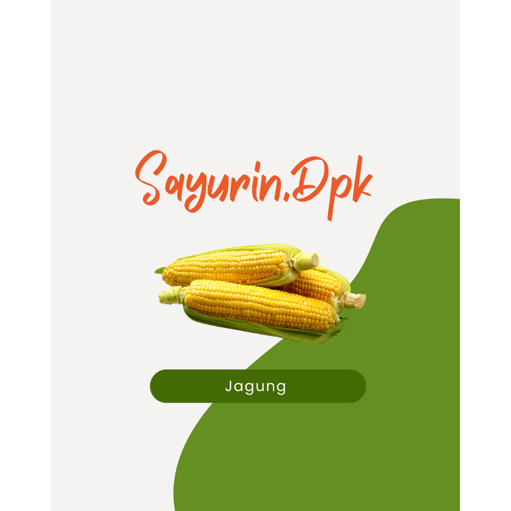 

Jagung